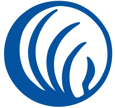 NAMI Logo